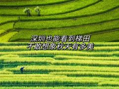 -光明小镇欢乐田园