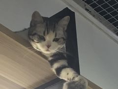 -小时光咖啡馆(开森度假森林店)
