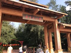 -北海金海湾红树林生态旅游区