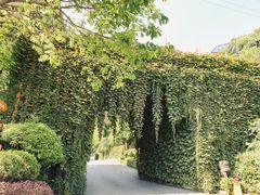 -巴倒烫陆派重庆火锅(南山店)