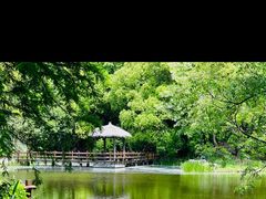 -上海滨江森林公园
