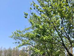 -白塘生态植物园
