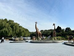 -北京野生动物园