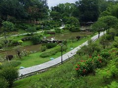 -东莞植物园