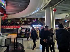 -奥斯卡升龙国际影城(RealD Cinema)