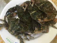 -春华海鲜城(广场西苑店)