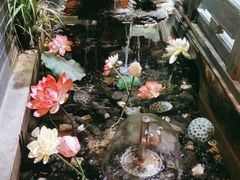 -徽镇小厨·经典徽菜(十里河店)