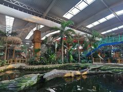 -南宫五洲植物乐园