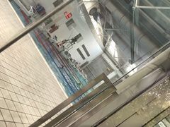 -同济大学四平路校区游泳馆