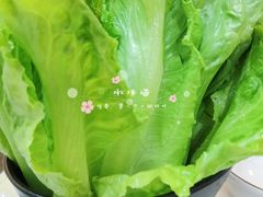 生菜-石记东北风味烤肉(系马桩第二分店)
