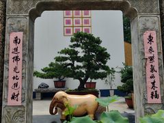 -龙华素斋(龙华路店)