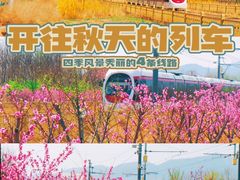 -沉浸北京·团建旅行·密室剧本杀·年会会议轰趴拓展
