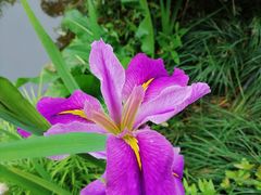-杭州花家山庄