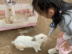 -前小桔亲子创意农场·草莓采摘·露营烧烤