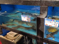 -华盛丰温州大排档(东三环南路店)