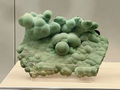 -中国地质博物馆