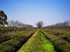 -凤凰沟景区