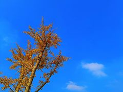 -钟山体育运动公园