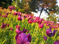 -长春公园(普阳街道)