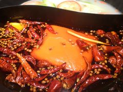 一次用油老火锅-锅说大脸毛肚重庆老火锅(佐阾店)