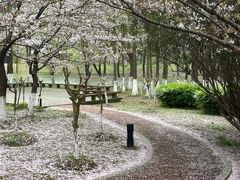 -江南大学(蠡湖校区)