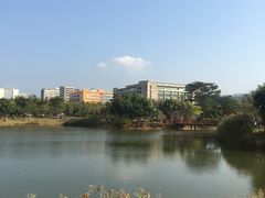-福田红树林生态公园