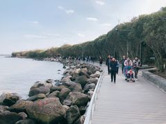 -吴淞炮台湾湿地森林公园烧烤区