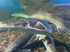 -泉州海丝野生动物世界