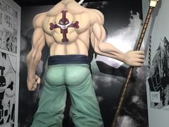 -东京塔海贼王主题公园