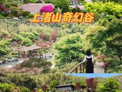 -莫干山风景区