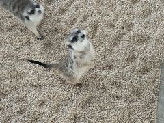 -海合安武汉极地海洋公园