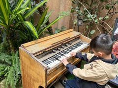 -六阅·福十 FORTEN 海景咖啡西餐厅(双廊古镇店)