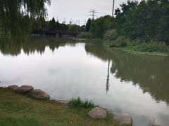-九里河湿地公园