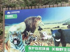 -大连森林动物园