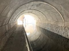 -白水寺森林公园