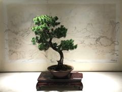 -扬州大运河文化旅游度假区·盆景园