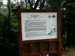 -井冈山风景名胜区-黄洋界