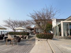 -望海·帆船主题咖啡厅•品茗下午茶(石湖景区店)