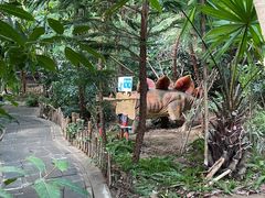 -呀路古热带植物园