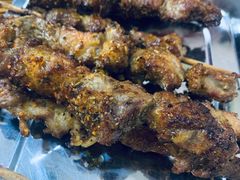 -民族烤羊·烤羊肉串·烤羊排(南城店)