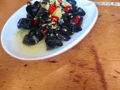 泡椒木耳-石磨豆花家常菜·牦牛排土火锅