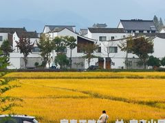 -东梓关景区村庄