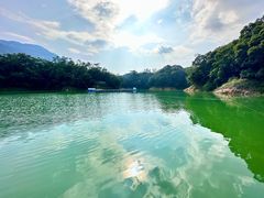 -广州市流溪河国家森林公园