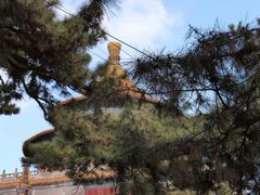 -普乐寺