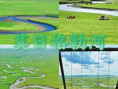 -呼伦贝尔大草原
