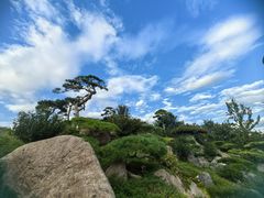 -罗红摄影艺术馆