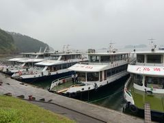 -千岛湖东南湖区