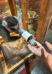 -Zoolung Zoolung动物主题公园(海信广场店)