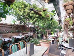-The Grounds of Alexandria