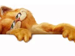 -好利来(新华百货店)